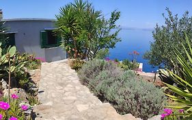 Holiday House Jakov