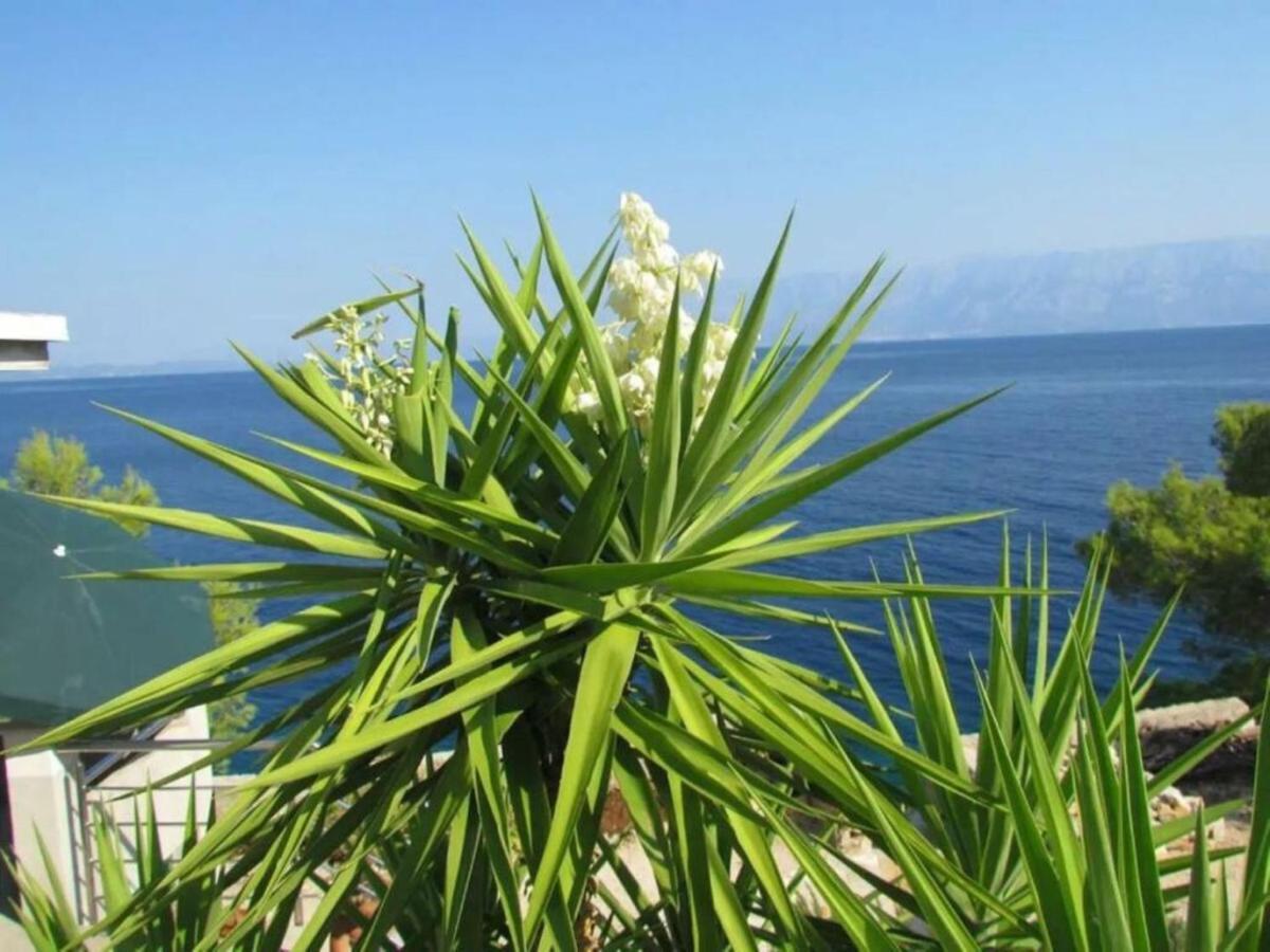 Holiday House Jakov Gdinj Exterior foto