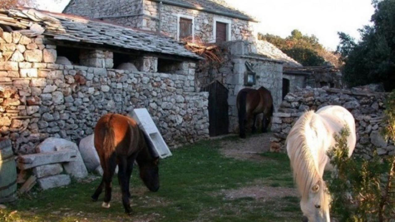Holiday House Jakov Gdinj Exterior foto